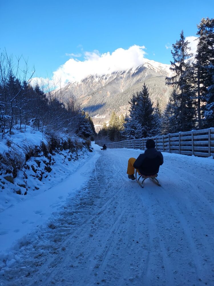 Action auf der Rodelbahn